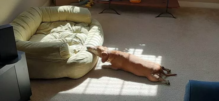 Picdump 607 - #5 