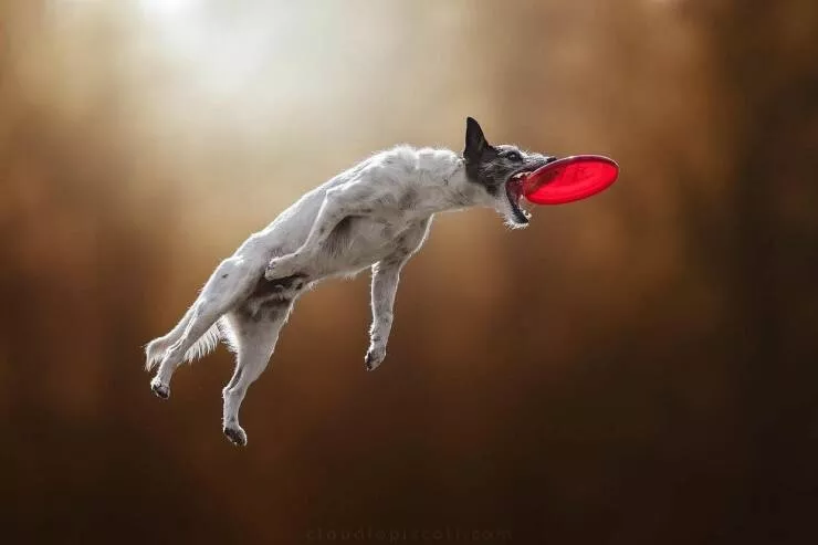 Picdump 608 - #16 