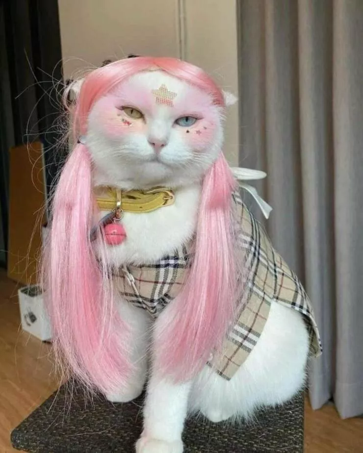 Picdump 608 - #20 