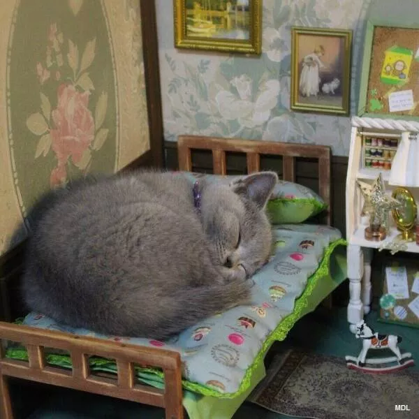 Picdump 608 - #55 