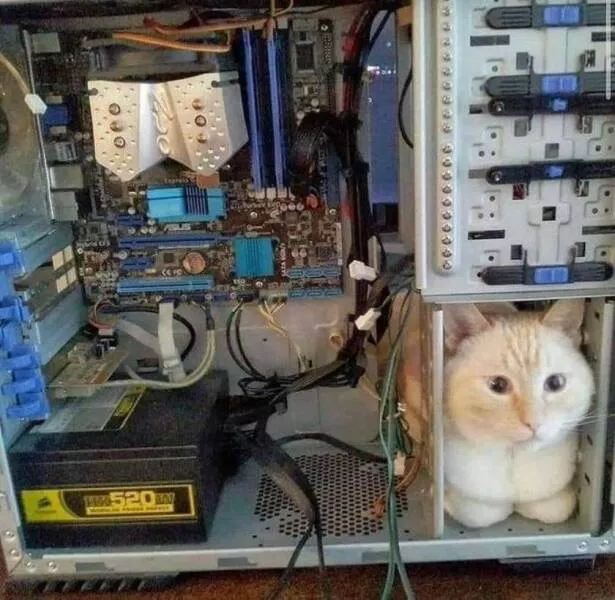 Picdump 608 - #7 