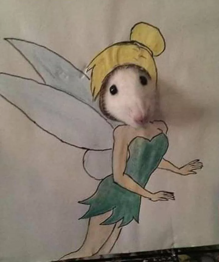 Picdump 608 - #8 