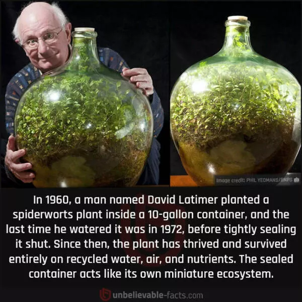 Unbelievable things - #35 