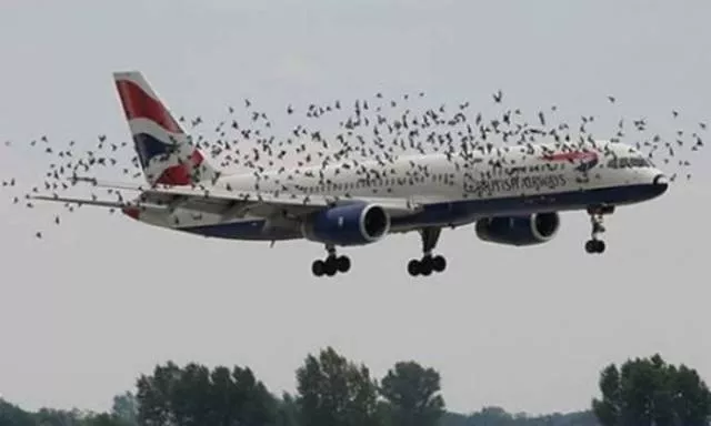 Plane crashes may come from nowhere - #25 Plane crashes may come from nowhere - #25