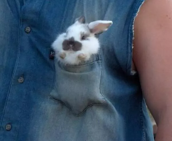 Picdump 607 - #12 