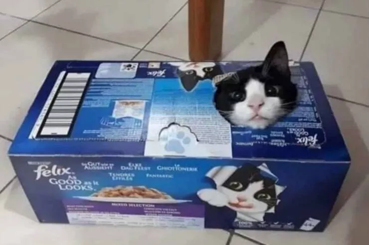 Picdump 607 - #20 