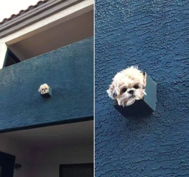 Picdump 607 - #4 