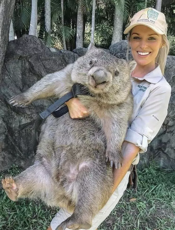 Picdump 607 - #43 