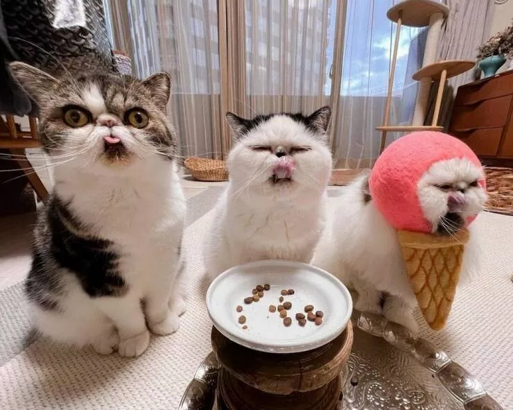 Picdump 608 - #15 