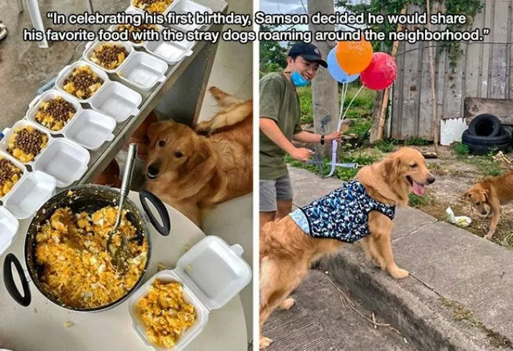 Picdump 608
