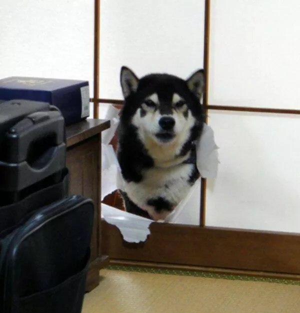 Picdump 608 - #23 
