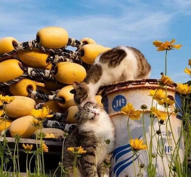 Picdump 608 - #8 