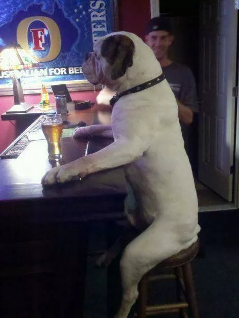 Picdump 609 - #57 