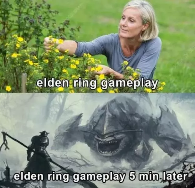 For gamer only - #22 