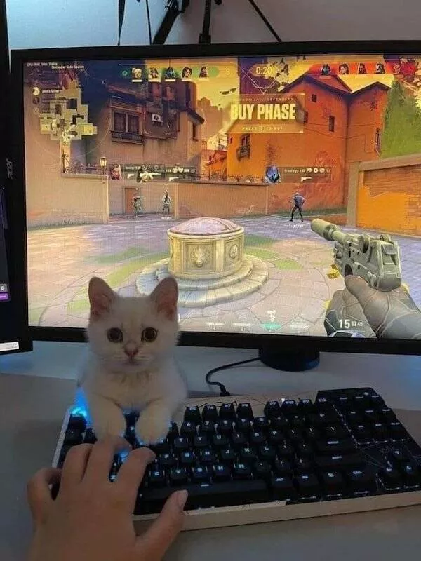 For gamer only - #26 