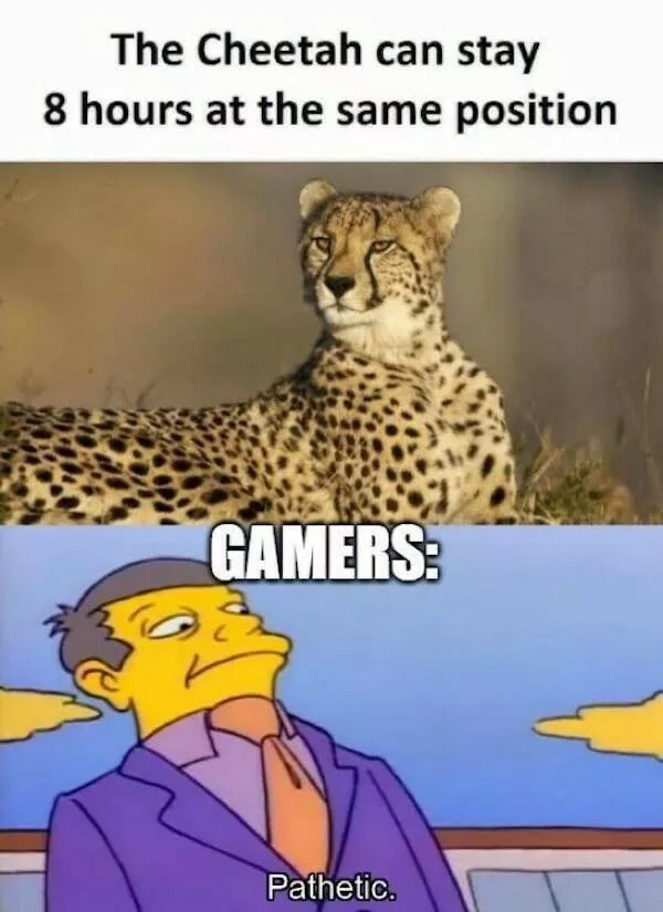 For gamer only - #29 