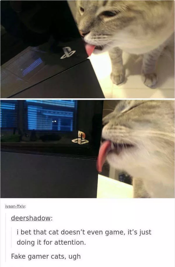 For gamer only - #34 