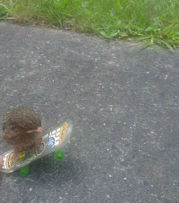 Picdump 610 - #12 