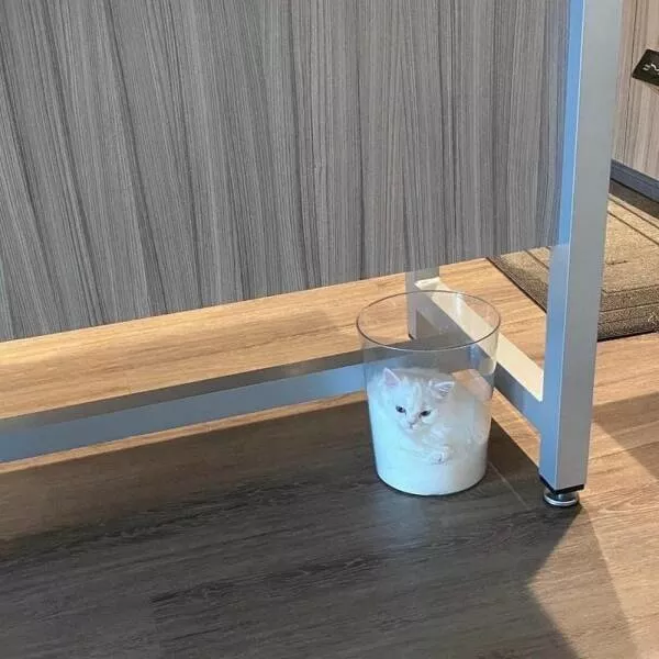 Picdump 610 - #24 