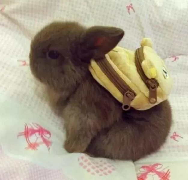 Picdump 610 - #25 