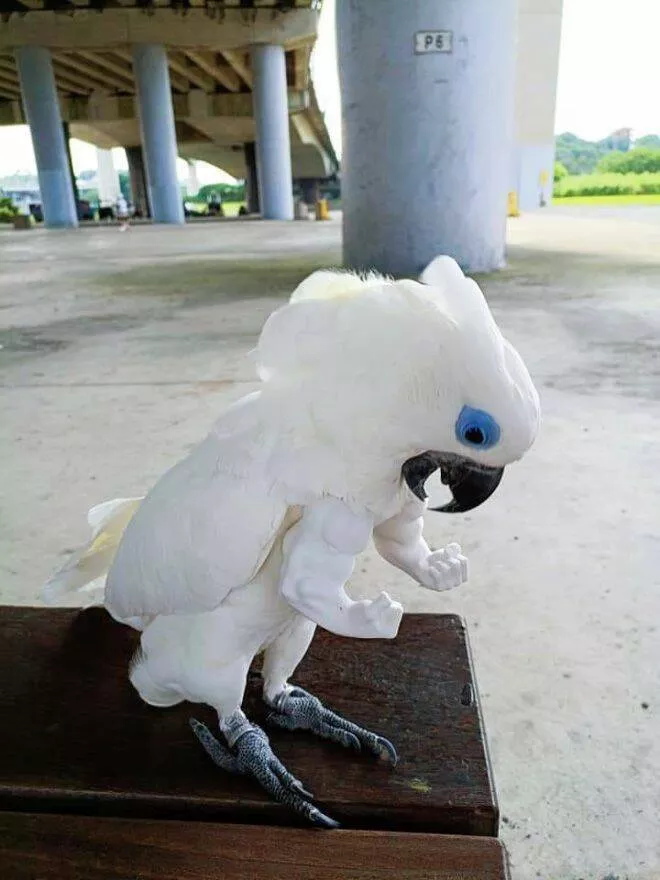 Picdump 610 - #32 
