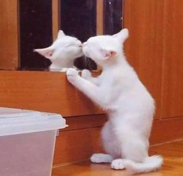 Picdump 610 - #39 