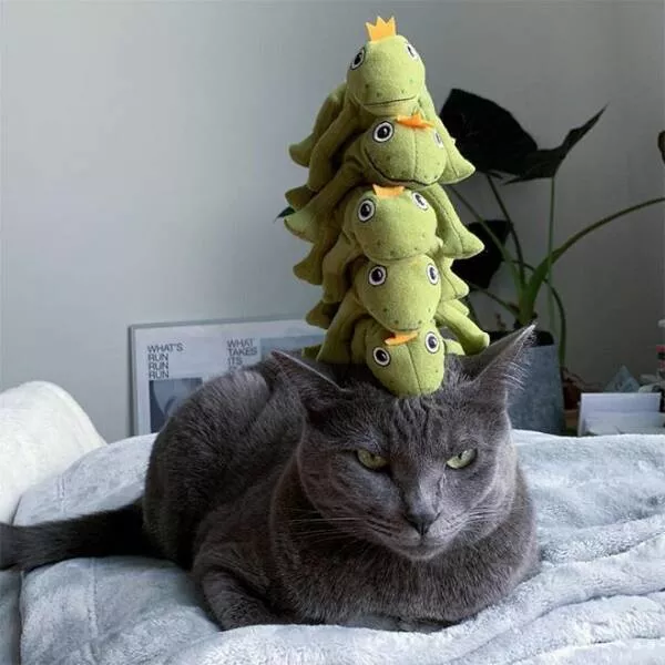 Picdump 610 - #53 