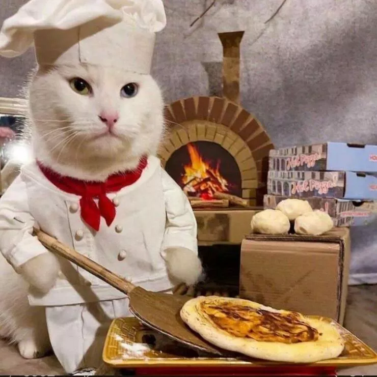 Picdump 610 - #55 