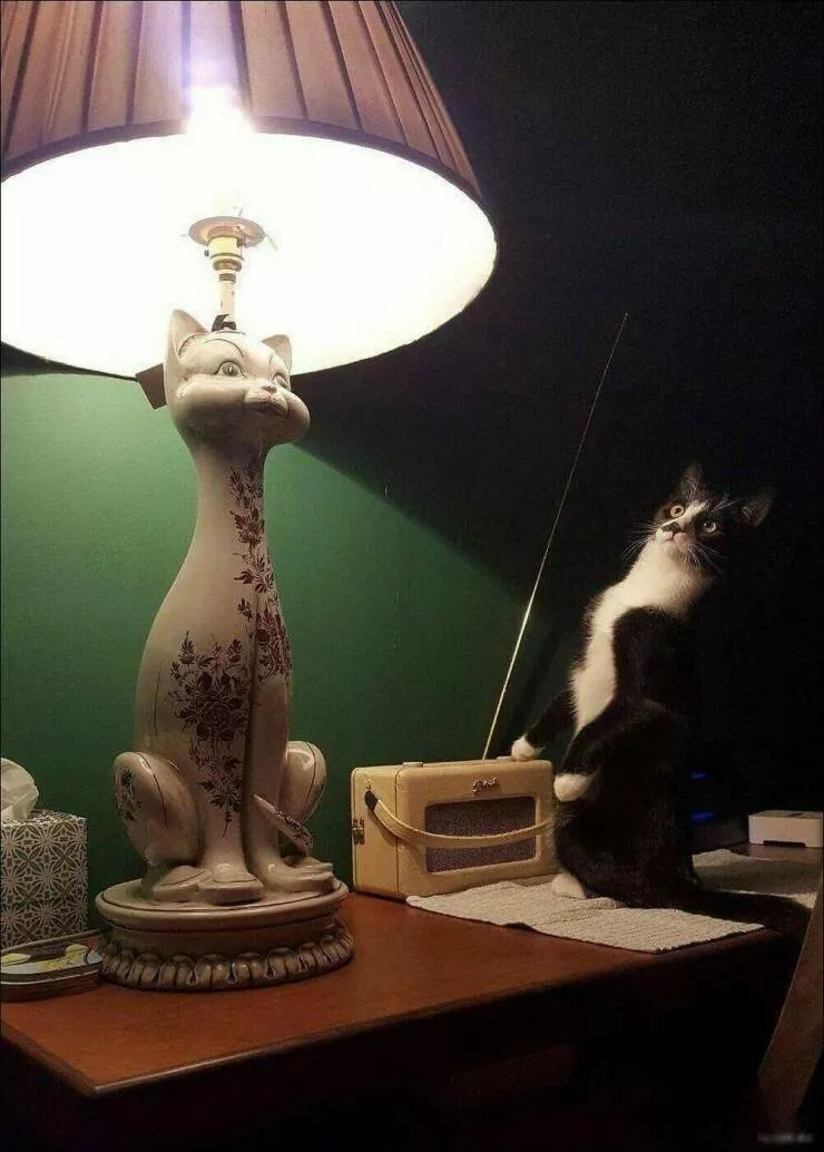 Picdump 610 - #68 