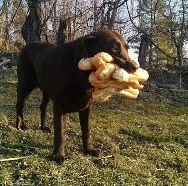 Thief - #9 