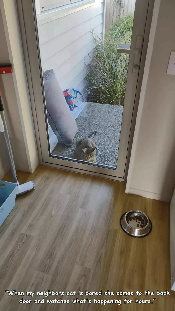 Picdump 611 - #10 