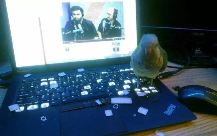 Picdump 611 - #70 