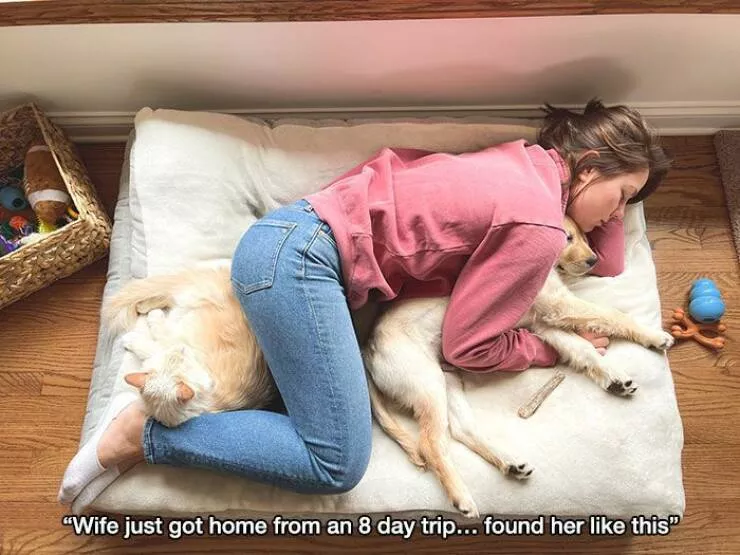 Picdump 611 - #9 