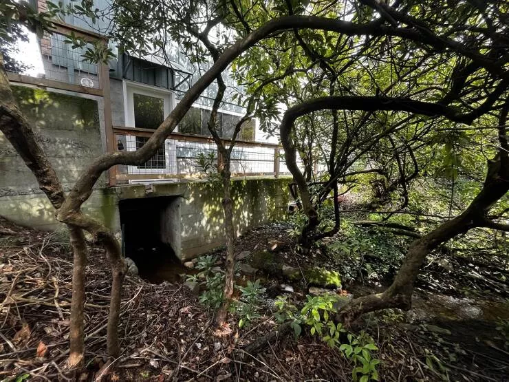 Rare objects to discover - #10 A stream flowing directly under the whole house Rare objects to discover - #10 A stream flowing directly under the whole house