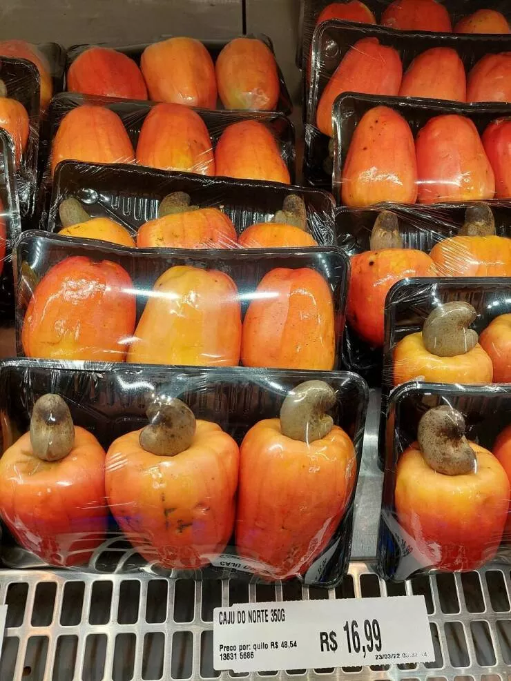 Rare objects to discover - #22 Cashew nut