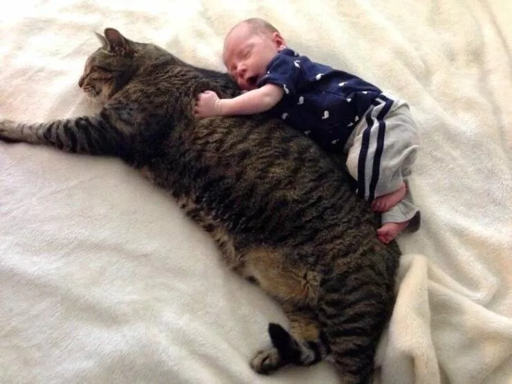 Picdump 612 - #27 