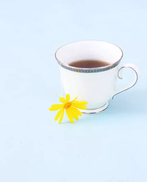 The most creative and sexy tea bags - #38 