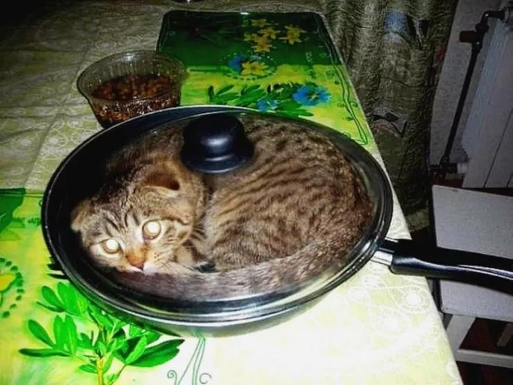 Picdump 613