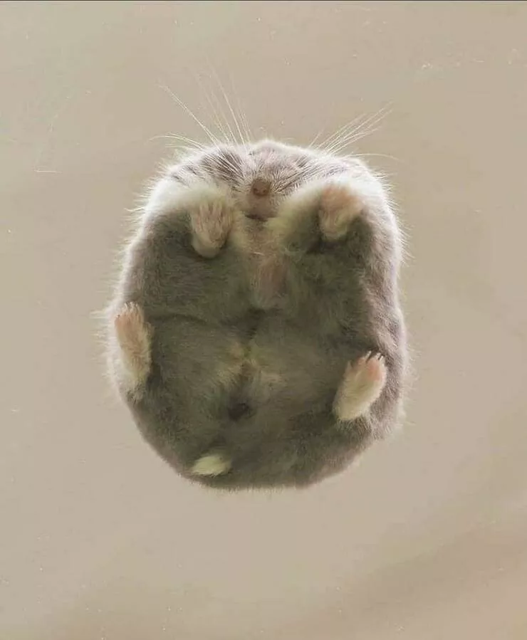 Picdump 613 - #15 