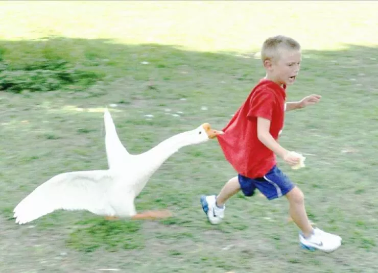 Picdump 613 - #17 