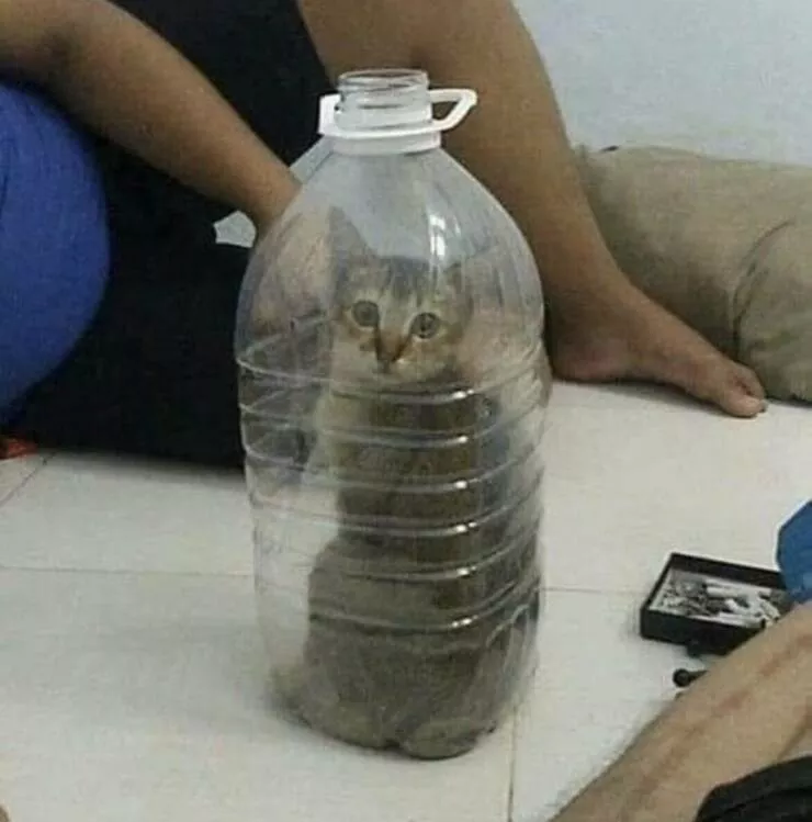 Picdump 613