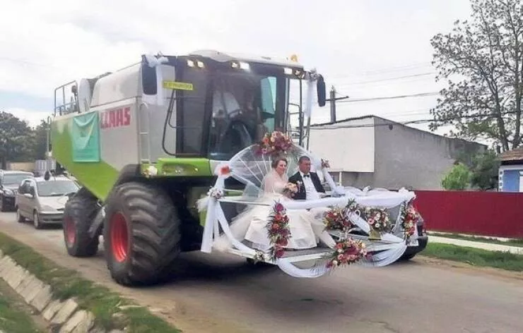 Picdump 613 - #50 