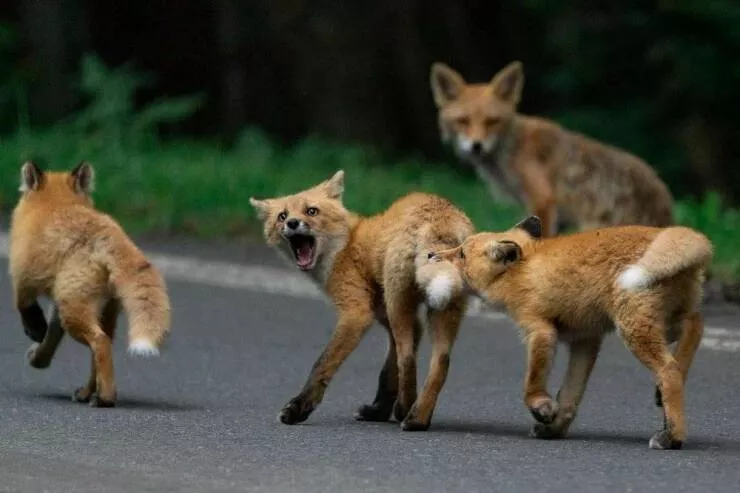 Picdump 614 - #53 