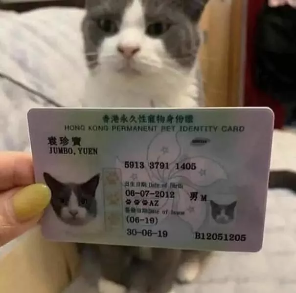 Picdump 614 - #60 