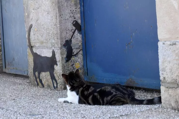 Picdump 614 - #9 