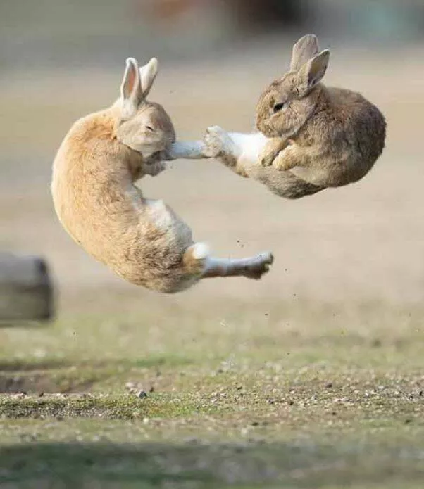 Picdump 615 - #16 