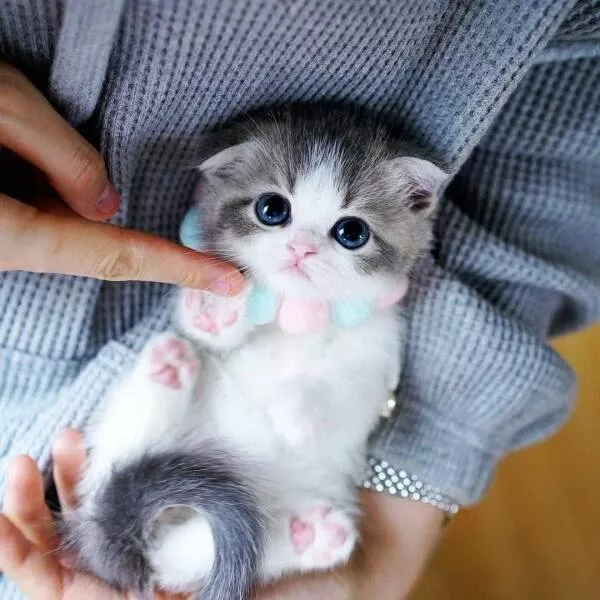 Picdump 615 - #45 