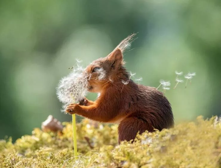 Picdump 615 - #56 