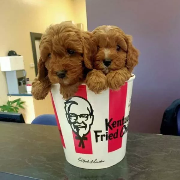 Picdump 616 - #32 