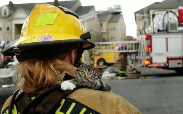 Picdump 95 - #21 